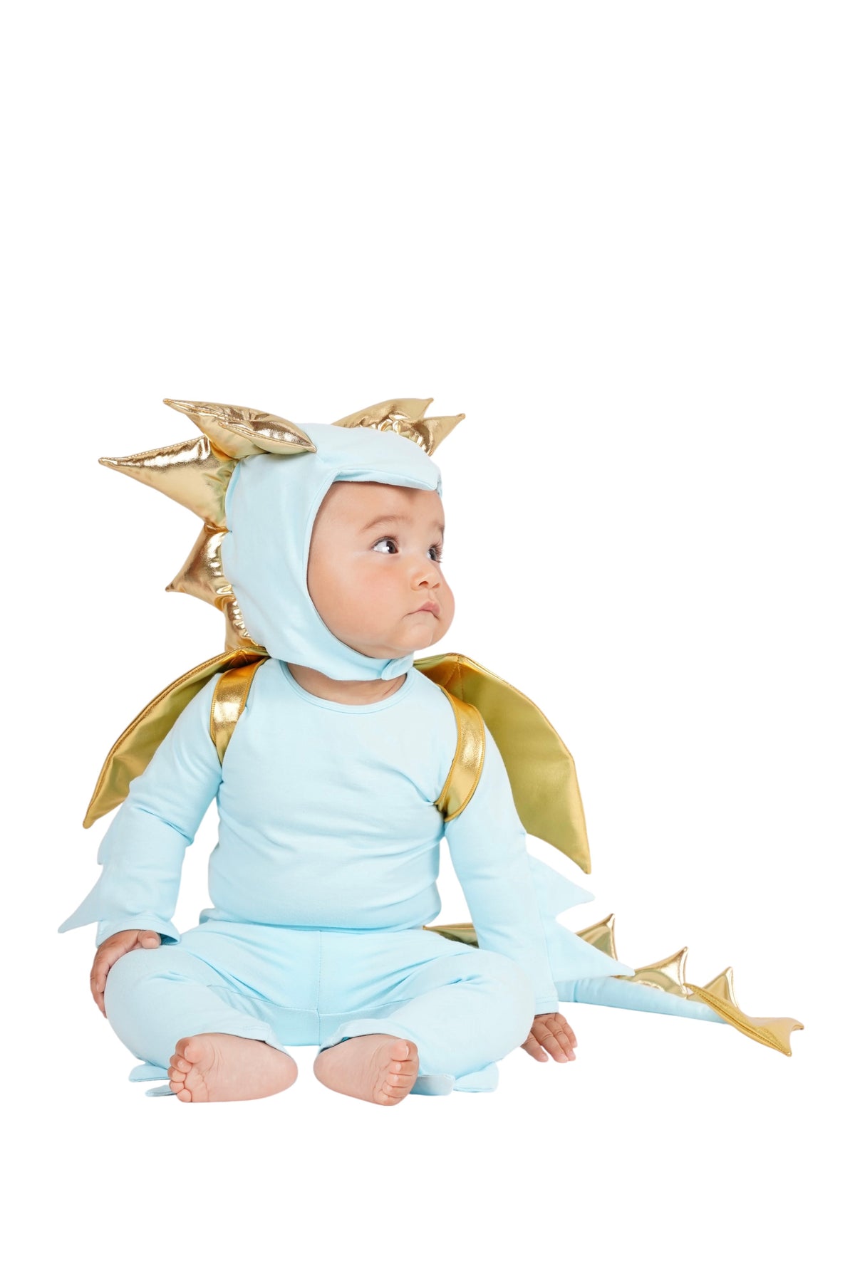 Sky Blue Dragon Halloween Costume