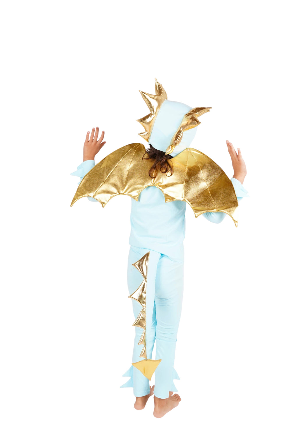 Sky Blue Dragon Halloween Costume