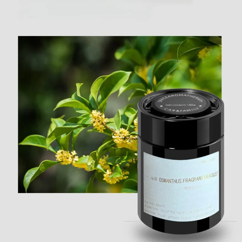 Car Aromatherapy Solid Balm Perfume in the Car with Pieces of the New Long-Lasting Fragrance