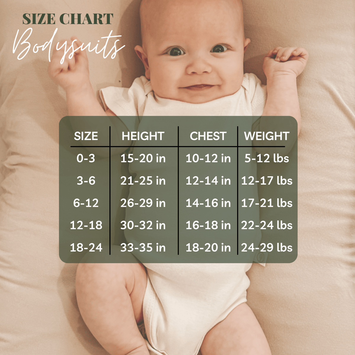 Mini Organic Baby Bodysuit